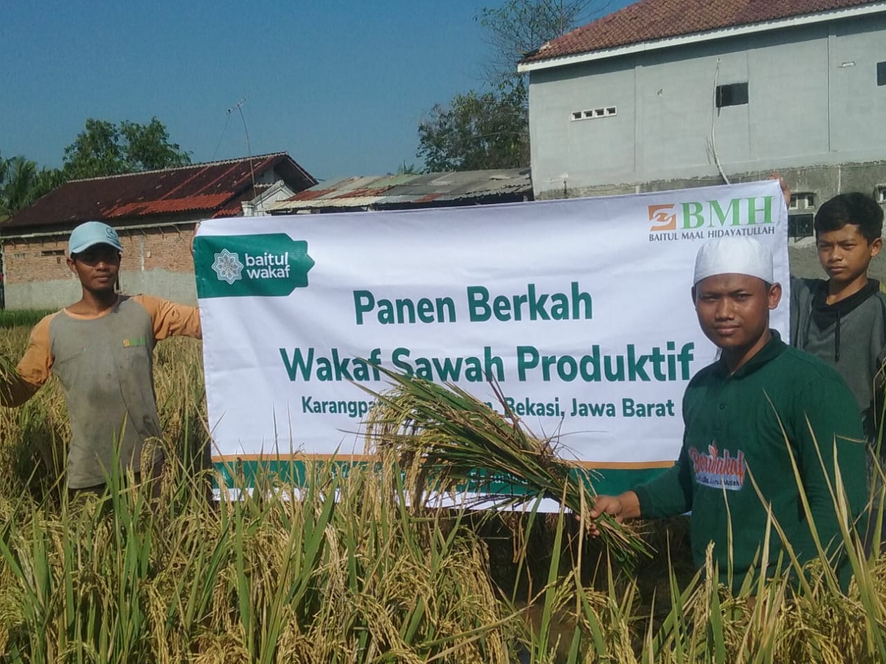 Perdana, Baitul Wakaf Panen 4,5 Ton Beras di Lahan Sawah Wakaf Produktif
